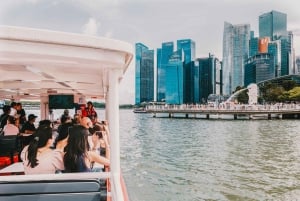 Crociera sul fiume Singapore, spettacolo di luci Spectra e Garden Rhapsody