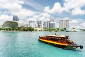 Crociera sul fiume Singapore, spettacolo di luci Spectra e Garden Rhapsody