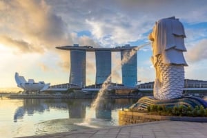 Crociera sul fiume Singapore, spettacolo di luci Spectra e Garden Rhapsody