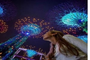 Cruzeiro pelo rio Singapura, Spectra e espetáculo de luzes Garden Rhapsody