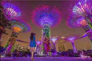 Cruzeiro pelo rio Singapura, Spectra e espetáculo de luzes Garden Rhapsody