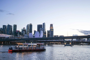 Singapore: River Sunset Cruise with Dinner