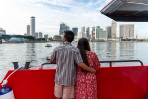 Singapore: River Sunset Cruise with Dinner