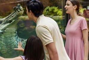 Singapur: Ticket de entrada a las Maravillas del Río