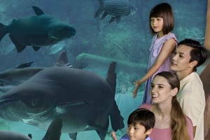 Singapur: Ticket de entrada a las Maravillas del Río