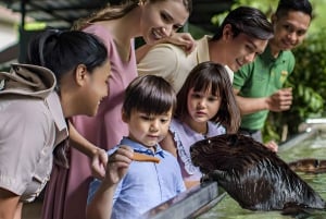 Singapur: Ticket de entrada a las Maravillas del Río