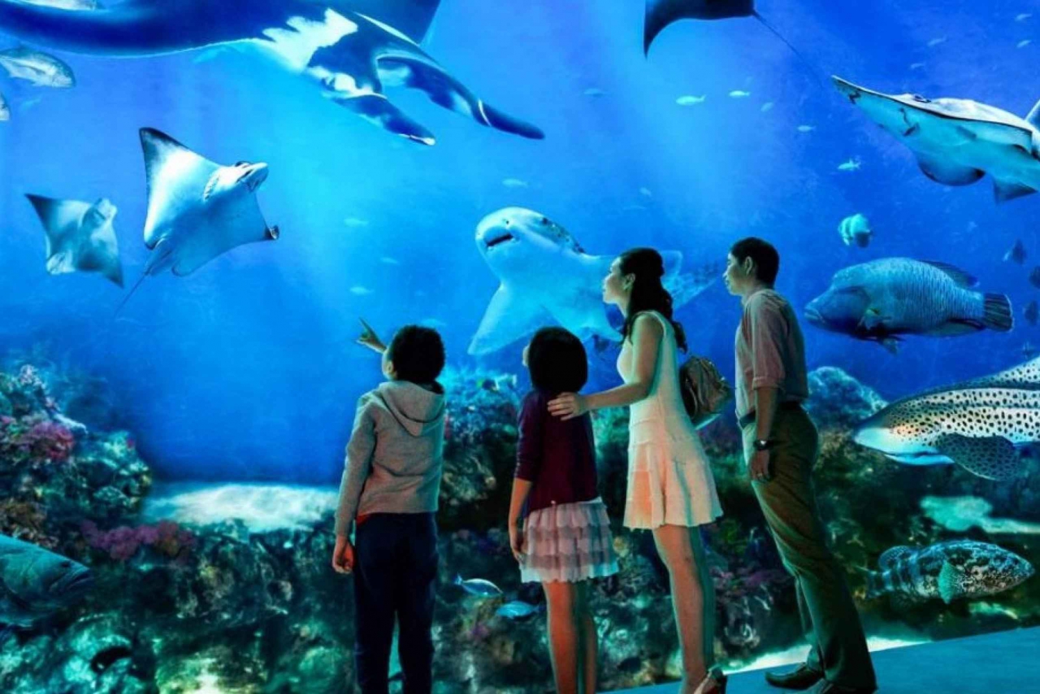 Singapore: S.E.A. Aquarium Entrance E-Ticket