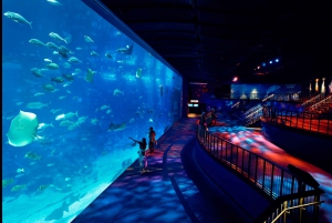 Singapore: S.E.A. Aquarium Entrance Ticket