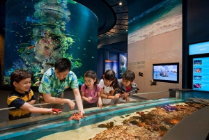 Singapore: S.E.A. Aquarium Entrance Ticket
