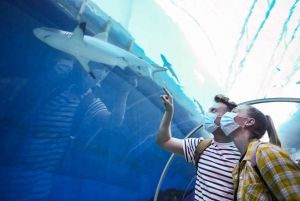 Singapore: S.E.A. Aquarium Entrance Ticket