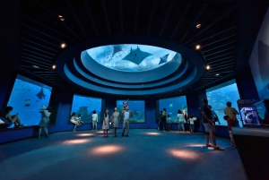 Singapore: S.E.A. Aquarium Entrance Ticket