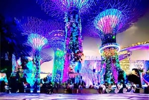 Cruzeiro pelo rio Singapura, Garden Rhapsody noturno e espetáculo Spectra