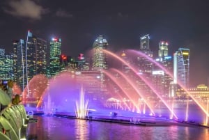 Cruzeiro pelo rio Singapura, Garden Rhapsody noturno e espetáculo Spectra