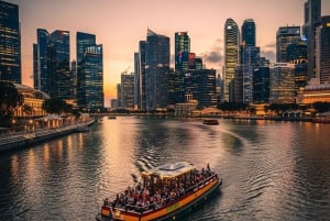 Cruzeiro pelo rio Singapura, Garden Rhapsody noturno e espetáculo Spectra