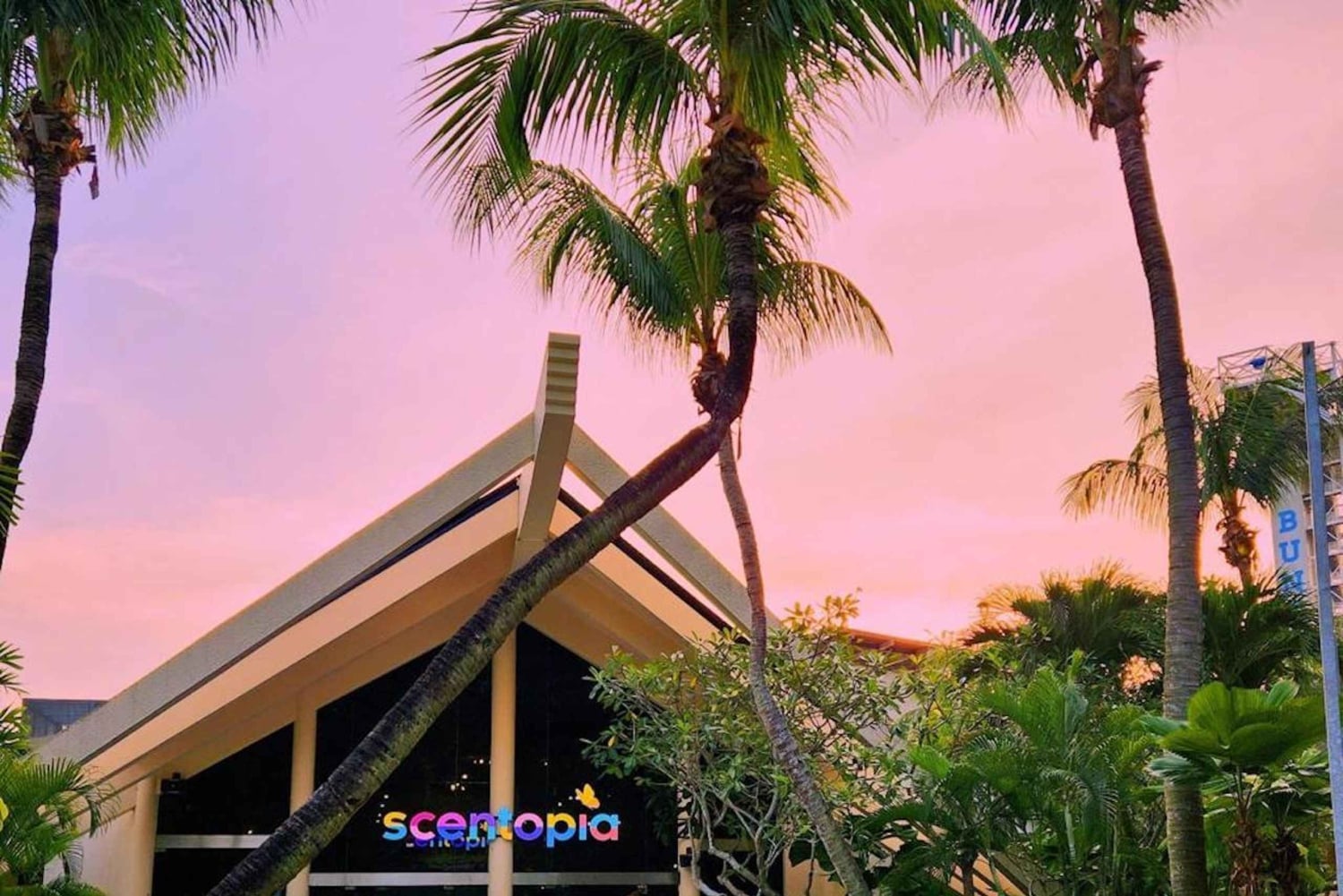 Cingapura: Workshop de criação de aromas com Rainforest Orchids