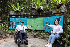 Singapore: Tur til Sentosa Island med kørestolsadgang