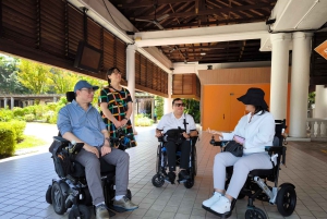 Singapore: Tur til Sentosa Island med kørestolsadgang