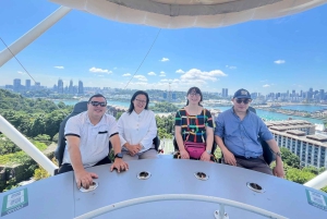 Singapore: Tur til Sentosa Island med kørestolsadgang