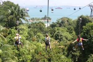 Singapore: Sentosa Mega Adventure Park Zipline Ticket
