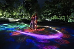 Singapore efter mörkrets inbrott: Sentosa-tur i liten grupp med linbana