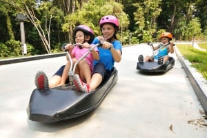 Singapore: Sentosa Skyline Luge and Skyride Combo Ticket