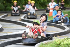 Singapore: Sentosa Skyline Luge and Skyride Combo Ticket