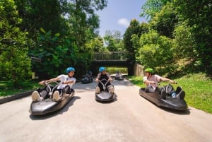 Singapore: Sentosa Skyline Luge and Skyride Combo Ticket