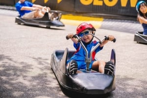 Singapore: Sentosa Skyline Luge and Skyride Combo Ticket