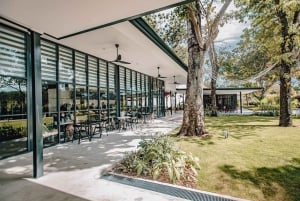 Singapore: Hub & Spoke dell'Aeroporto di Changi nell'area pubblica