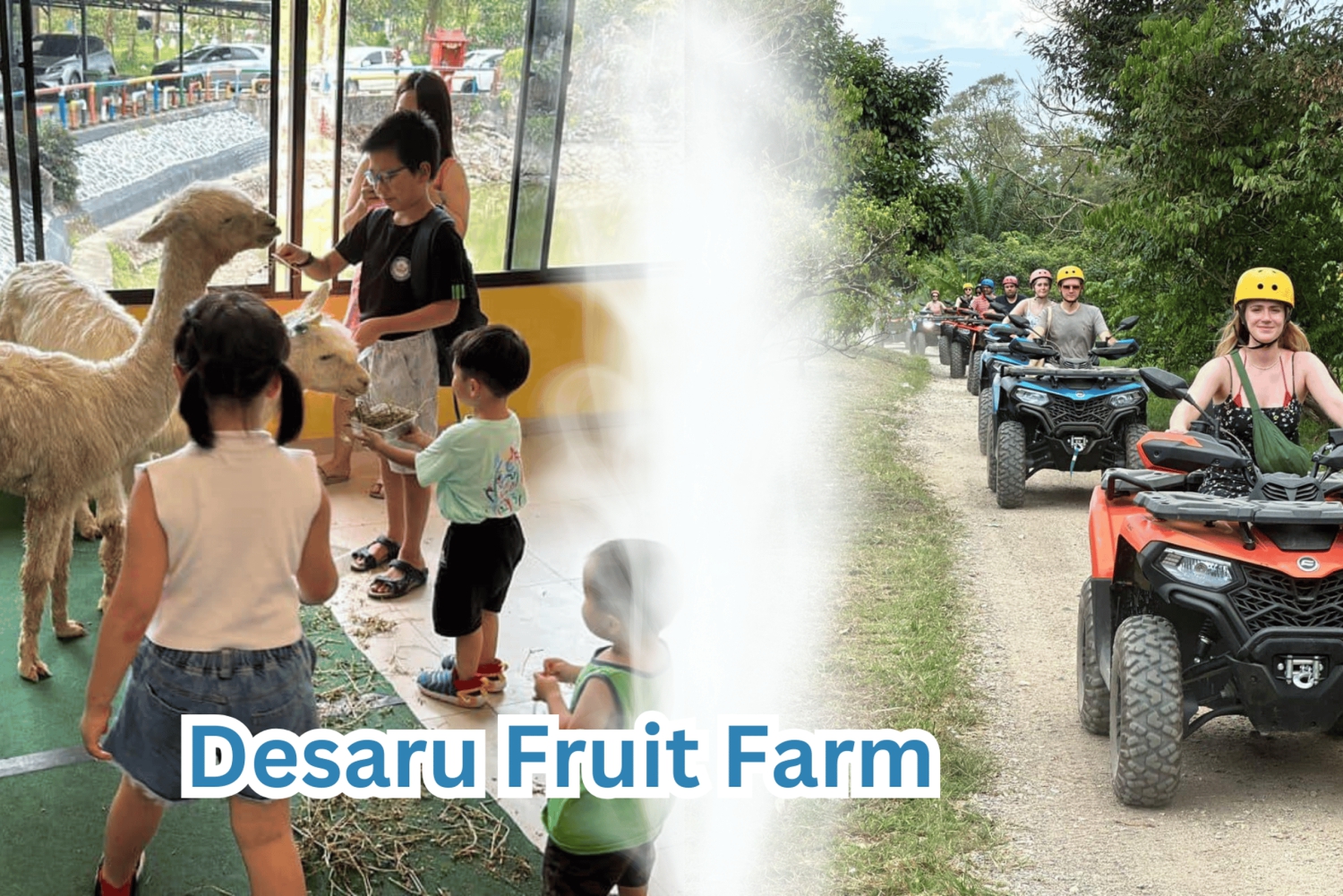 Singapore (SIN) to Desaru Malaysia