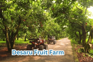 Singapore (SIN) to Desaru Malaysia