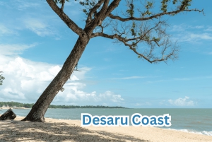 Singapore (SIN) to Desaru Malaysia