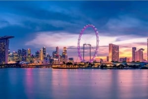 Singapore: Singapore Flyer and Time Capsule Entry Ticket