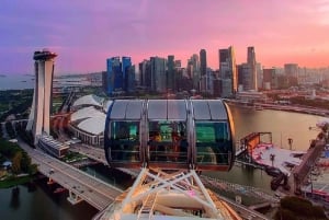 Singapore: Singapore Flyer and Time Capsule Entry Ticket