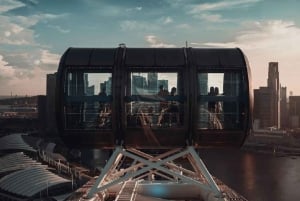 Singapore: Singapore Flyer and Time Capsule Entry Ticket