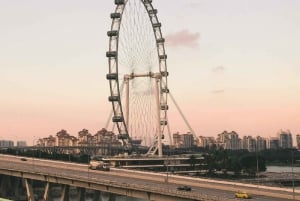 Singapore: Singapore Flyer pääsylippu