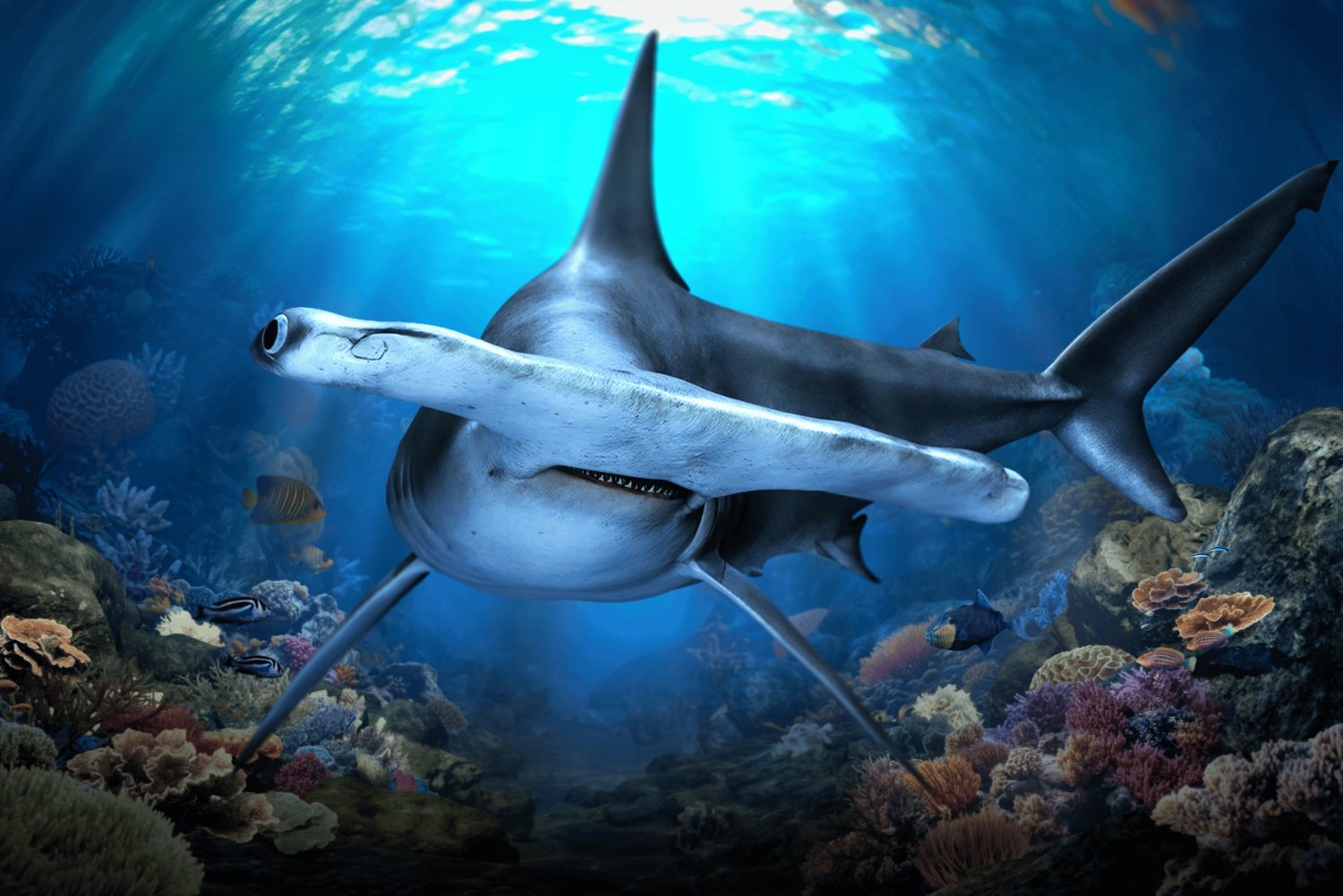 Singapore: Entrébillet til Singapore Oceanarium