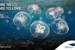 Singapore: Entrébillet til Singapore Oceanarium