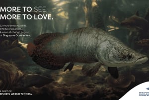 Singapore: Entrébillet til Singapore Oceanarium