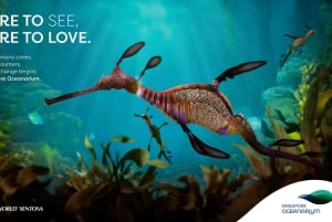 Singapore: Entrébillet til Singapore Oceanarium