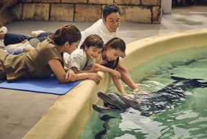 Singapore: Entrébillet til Singapore Oceanarium