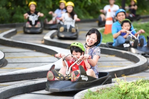 Singapore: Skyline Luge Sentosa Tickets