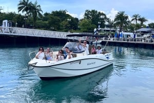 Singapore Hurtigbåttur på den sørlige øya