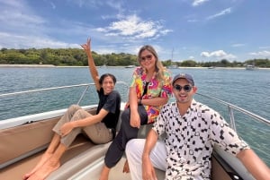 Singapore Hurtigbåttur på den sørlige øya