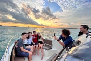 Singapore Hurtigbåttur på den sørlige øya