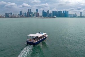 Singapore: Albatross Speedboat Adventures-billett
