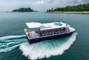 Singapore: Albatross Speedboat Adventures-billett