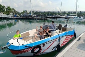 Excursion en hors-bord « Frissons et détente dans les îles du sud de Singapour »