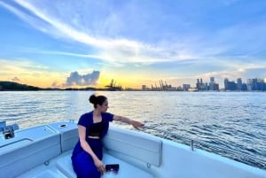 Excursion en hors-bord « Frissons et détente dans les îles du sud de Singapour »