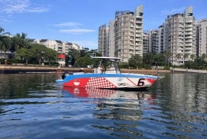 Excursion en hors-bord « Frissons et détente dans les îles du sud de Singapour »